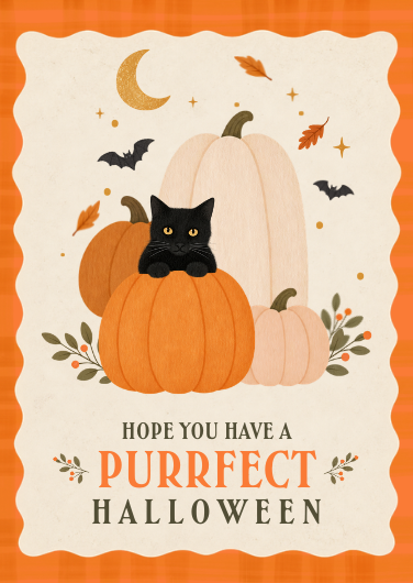 Cute Black Cat Halloween Greeting Card Design
