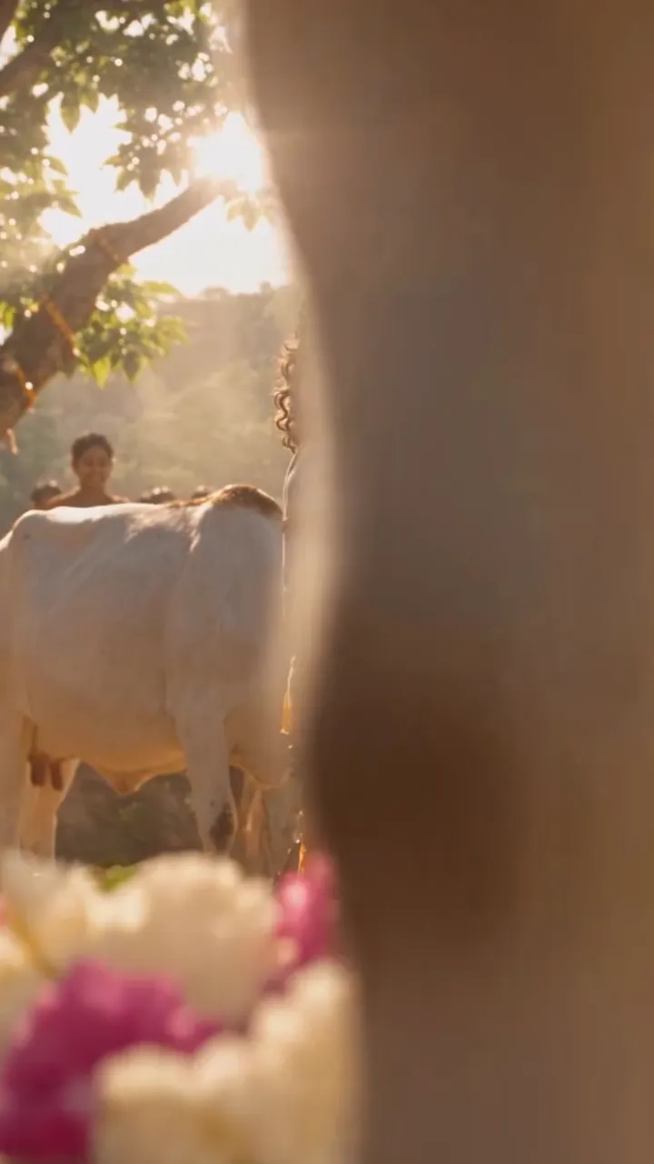 Govardhan pooja Status Video Download in HD Quality